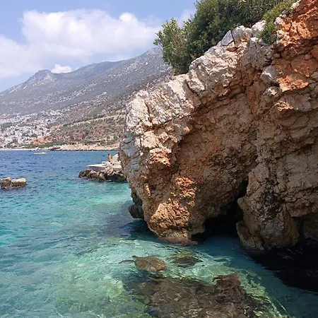 Cactus Garden - Club Patara