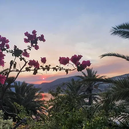 Διαμέρισμα Cactus Garden - Club Patara *