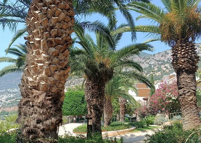 Cactus Garden Kalkan - Private Mediterranean Home At Club Patara Kalkan